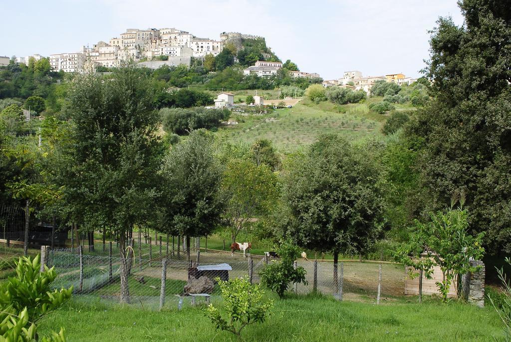 Agriturismo L'Arca Di Anna Brambilla Belvedere Marittimo Eksteriør bilde